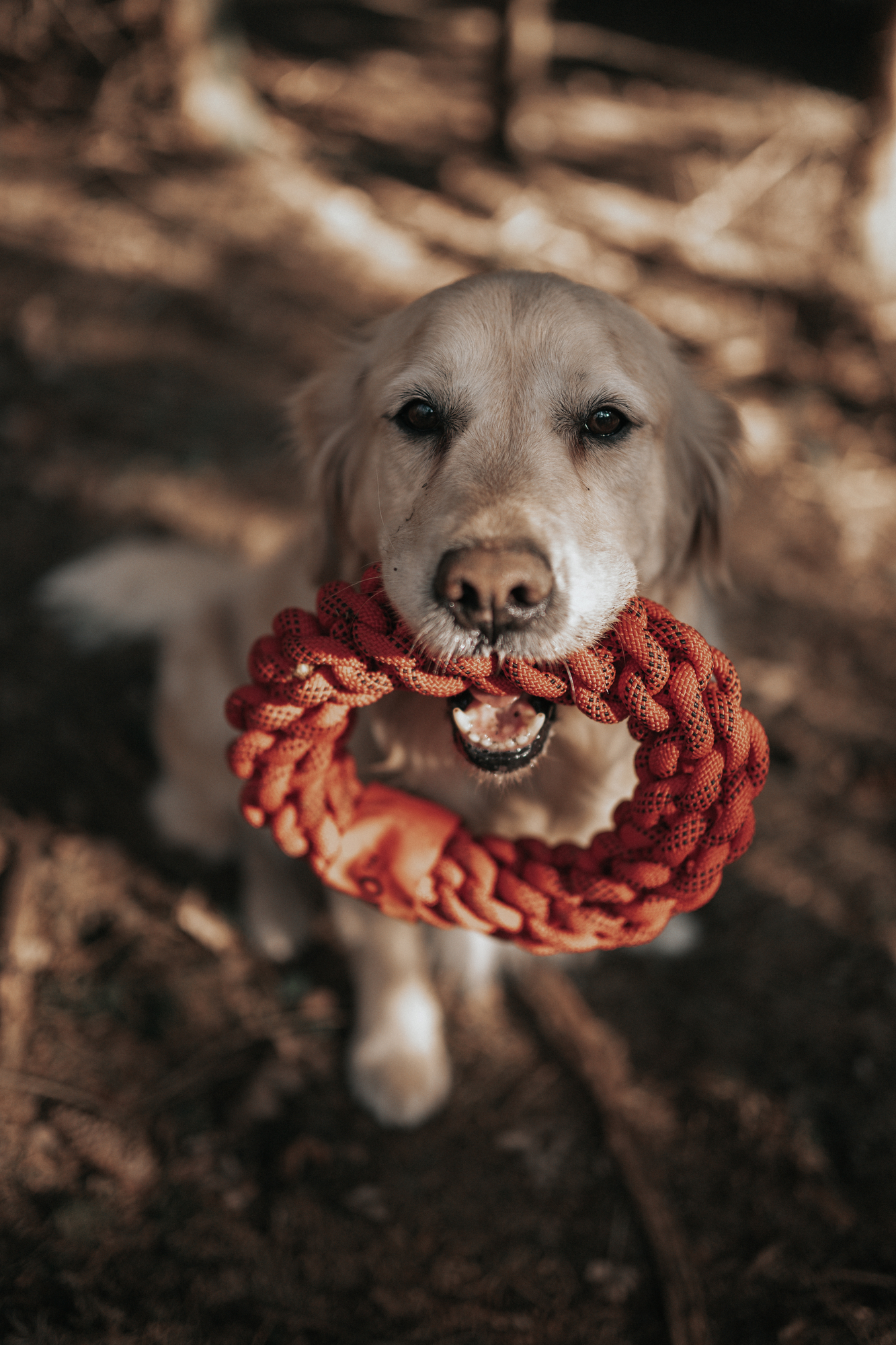 Depositphotos_562764940_L